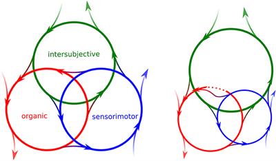 Placebo From an Enactive Perspective